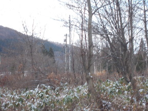 DSCN1544