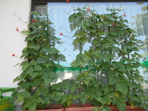 DSCN1075