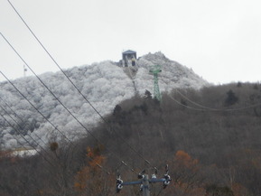 DSCN6049