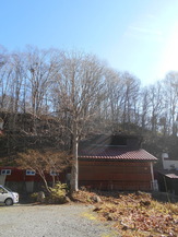 DSCN6145