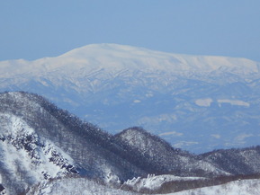 DSCN5101