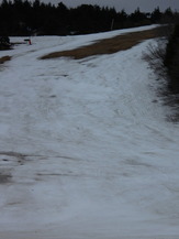 DSCN6317