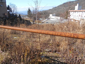 DSCN6149
