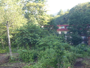 DSCN1186