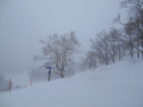 DSCN0574