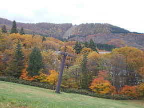 DSCN1062