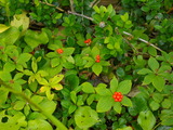 d689f61a.jpg