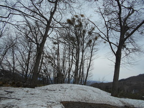 DSCN0189