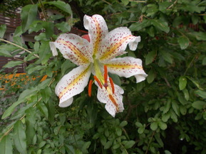 DSCN0151
