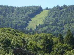 DSCN0881