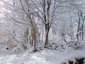 DSCN1316