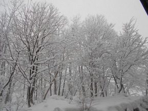 DSCN1934