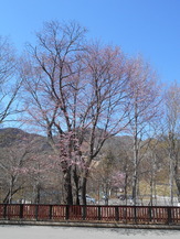 DSCN4023