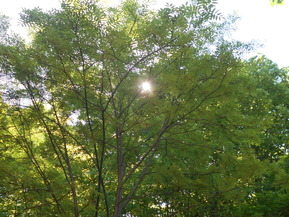 DSCN2402