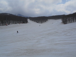 DSCN0079