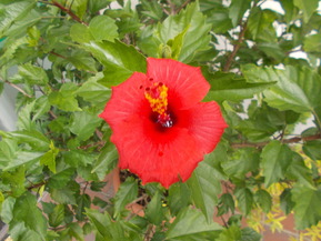 DSCN0701