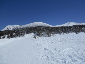 DSCN0984