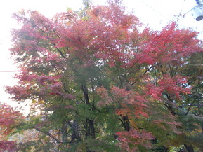 DSCN0976