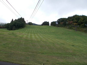 DSCN0599