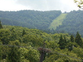 DSCN5093