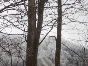 DSCN6163