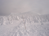 e5820456.jpg