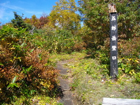 IMGP2219
