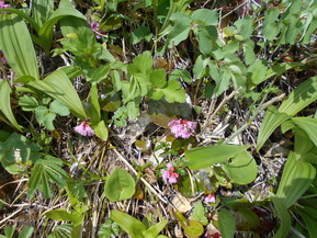 DSCN2372