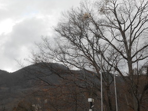 DSCN1652