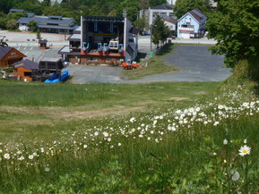 DSCN2249