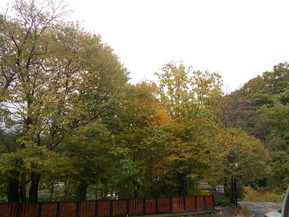 DSCN5572