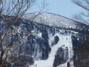 DSCN1565