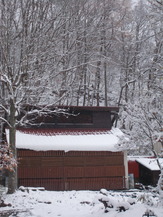 DSCN1322
