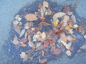 DSCN7967