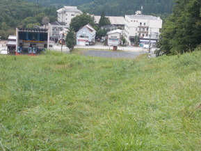 DSCN0554