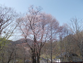 DSCN3932