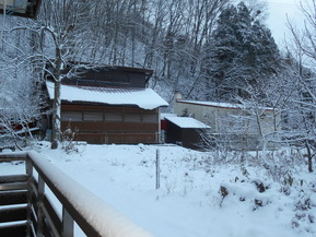 DSCN8226