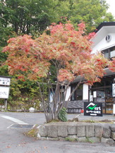 DSCN0760