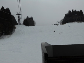 DSCN0600