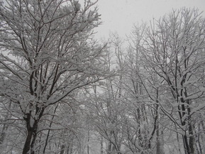 DSCN1936