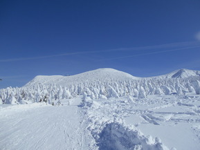 DSCN5076