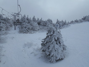 DSCN0430
