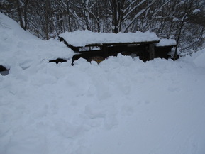 DSCN9248