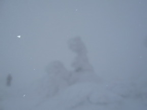 DSCN8489