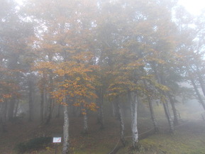 DSCN0786