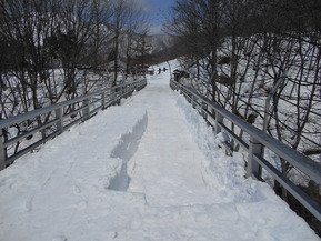 DSCN9958