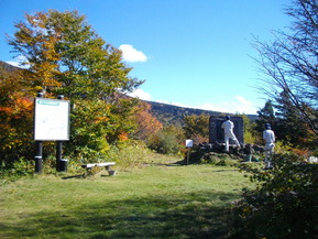 IMGP2231