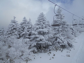 DSCN0297
