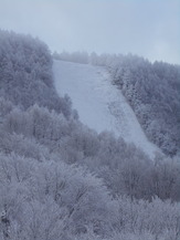 DSCN1752