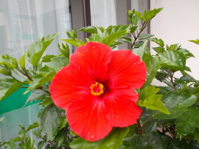 DSCN0113